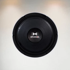 Alto Falante Snake 10 Polegadas 300w 8 Ohms Som Automotivo ESV610