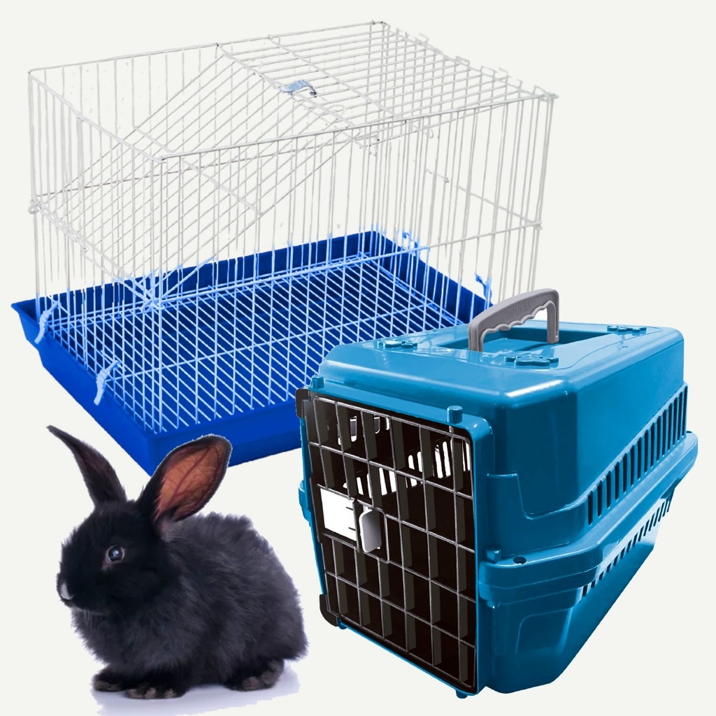 Gaiola Coelho Chinchila Porquinho Da India Com Andar Grande + Caixa De Transporte Gatos Gaiola Carregar Coelhos