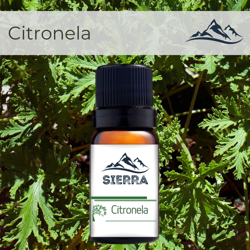 Essência de Citronela Aroma Hidrossolúvel 10ml para Difusor Aromatizador Umidificador de Ar