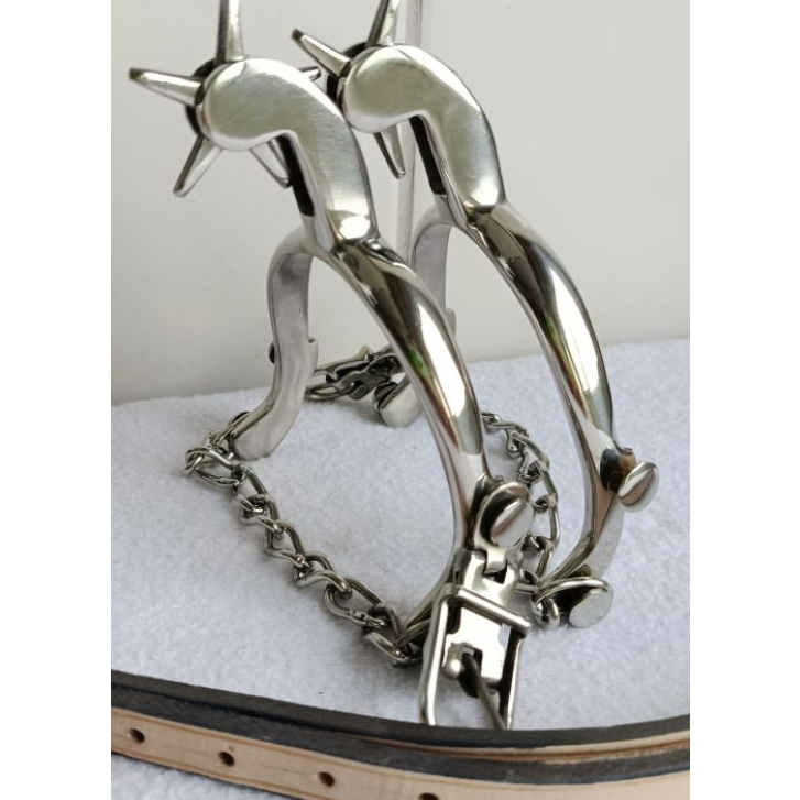 Cinto 5 Pontas: Guia Completo e Onde Comprar | BuscaProdutos