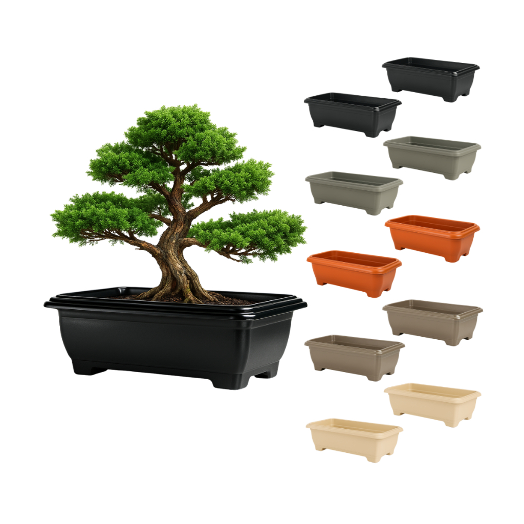 O que é Pimenta Marrom? Guia e Onde Comprar | BuscaProdutos