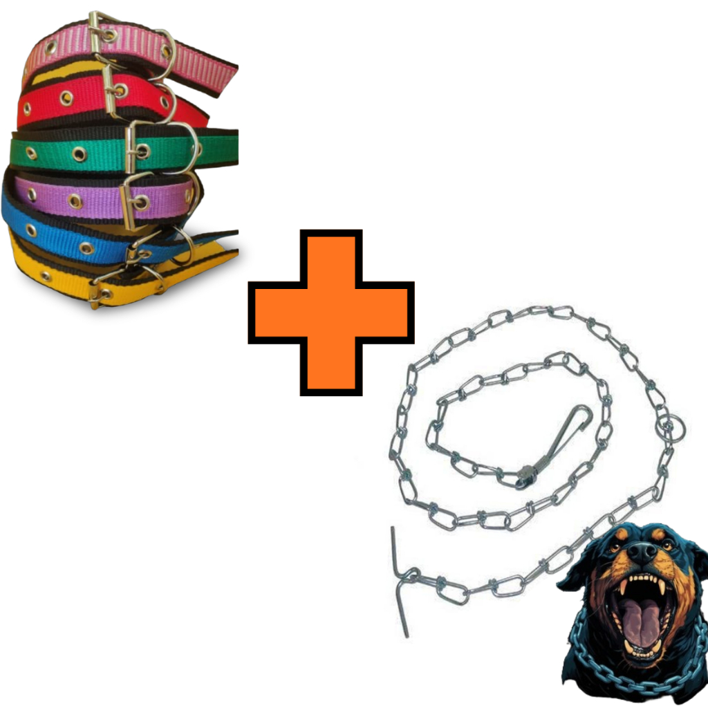 KITS PRENDE FERA - CORRENTE + COLEIRA DUPLAMENTE REFORÇADA