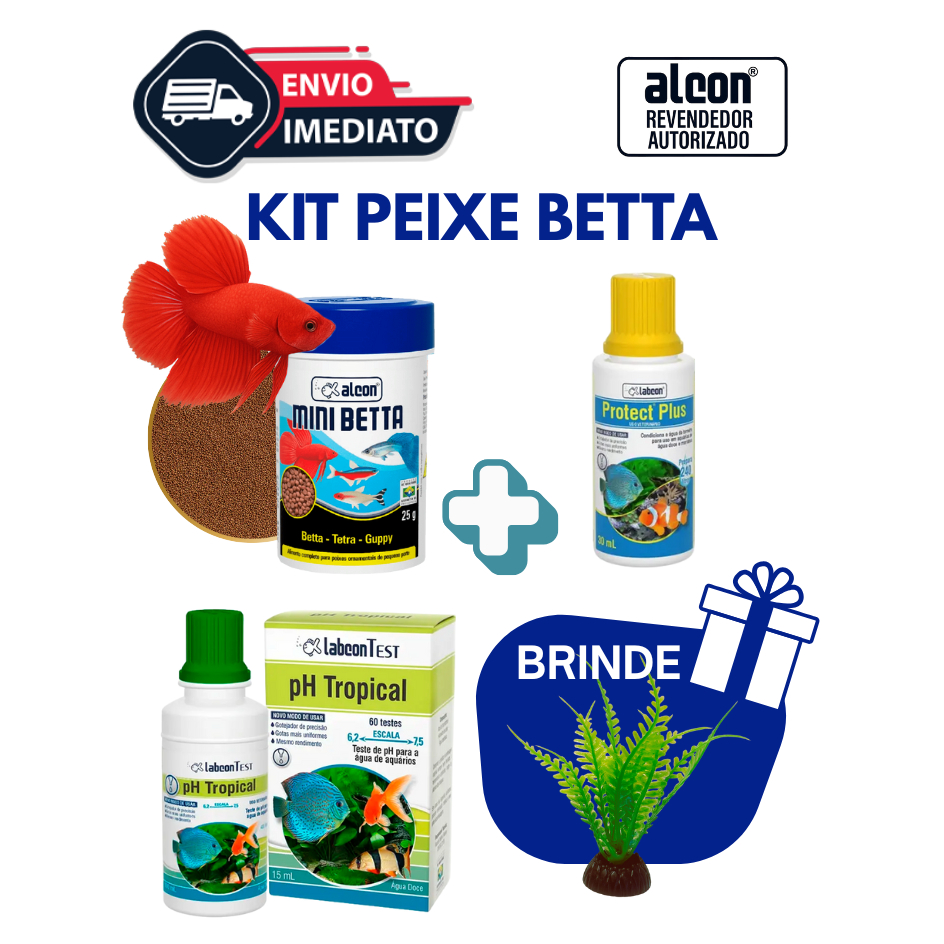 Bettas Ph: Guia Completo e Onde Comprar | BuscaProdutos