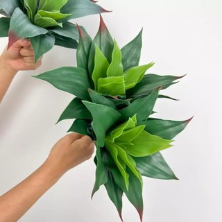 Suculenta Dracaena Avulsa Solta Artificial Suculenta Decoração Arranjos Decorar Festas - LMM802769