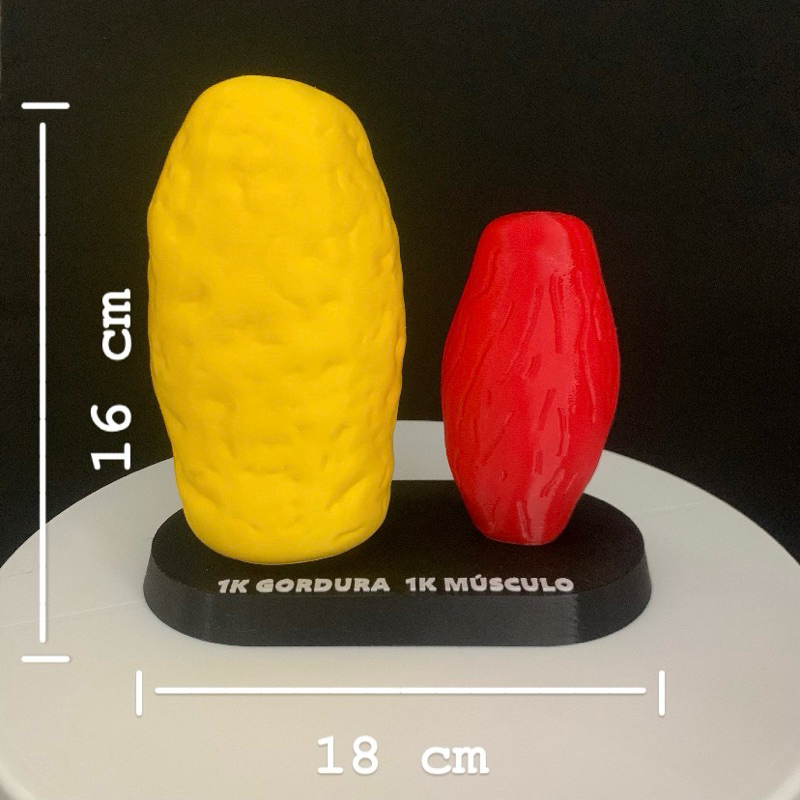 Gordura e Musculo Decoração nutricionista e fisioterapeuta em Oferta na Shopee