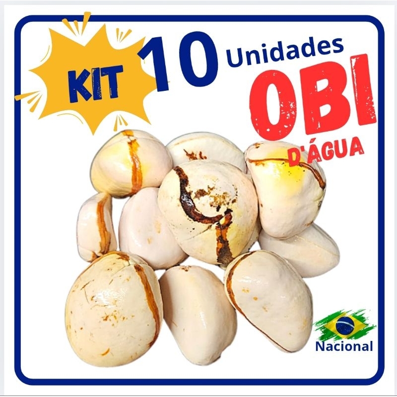 Obi Branco Natural Obi D'água Noz de Cola Uso Religioso e Espiritual atacado kit com 10 em Oferta na Shopee