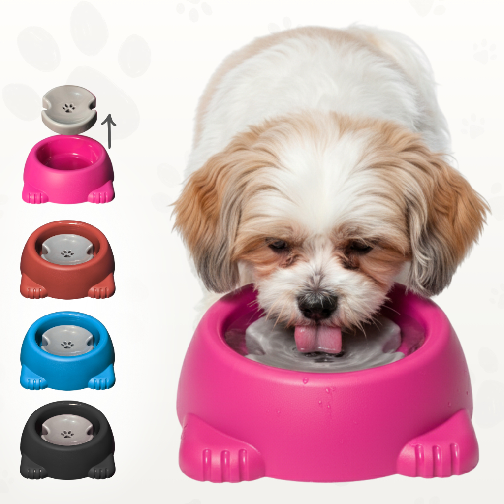 Bebedouro 1000 ML Comedouro Com Boia Pelos Longos Não Molha Pelos Cães e Gatos Grande