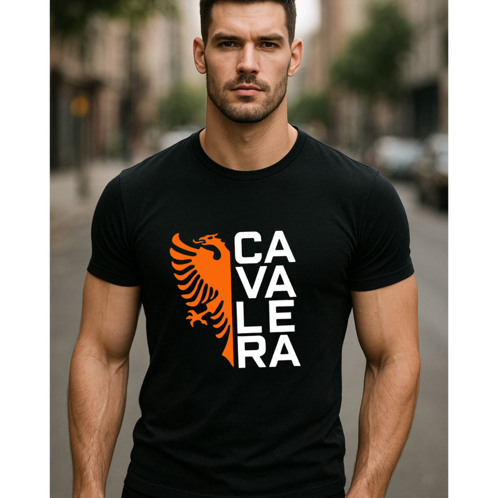 CAMISETA MASCULINA 100% ALGODÃO CASULA CAMISA MARCA FAMOSA TECIDO PREMIUM