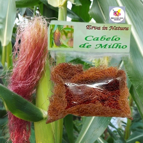 Cabelo de Milho - Erva Seca/ Erva in Natura