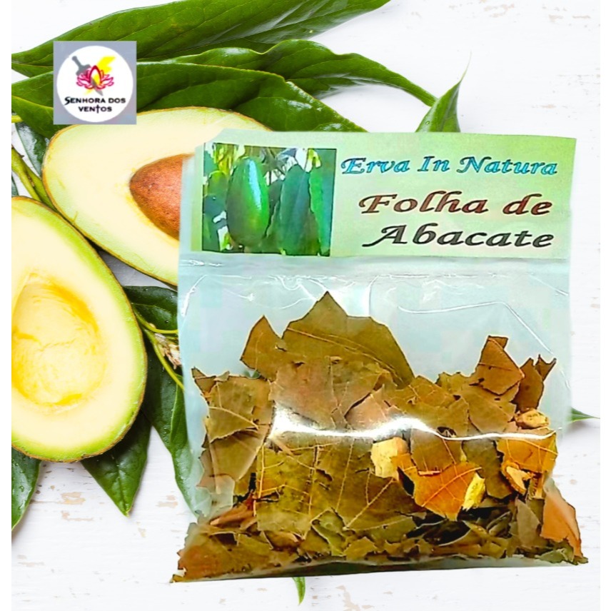 Folha de Abacate - Erva Seca/ Erva in Natura
