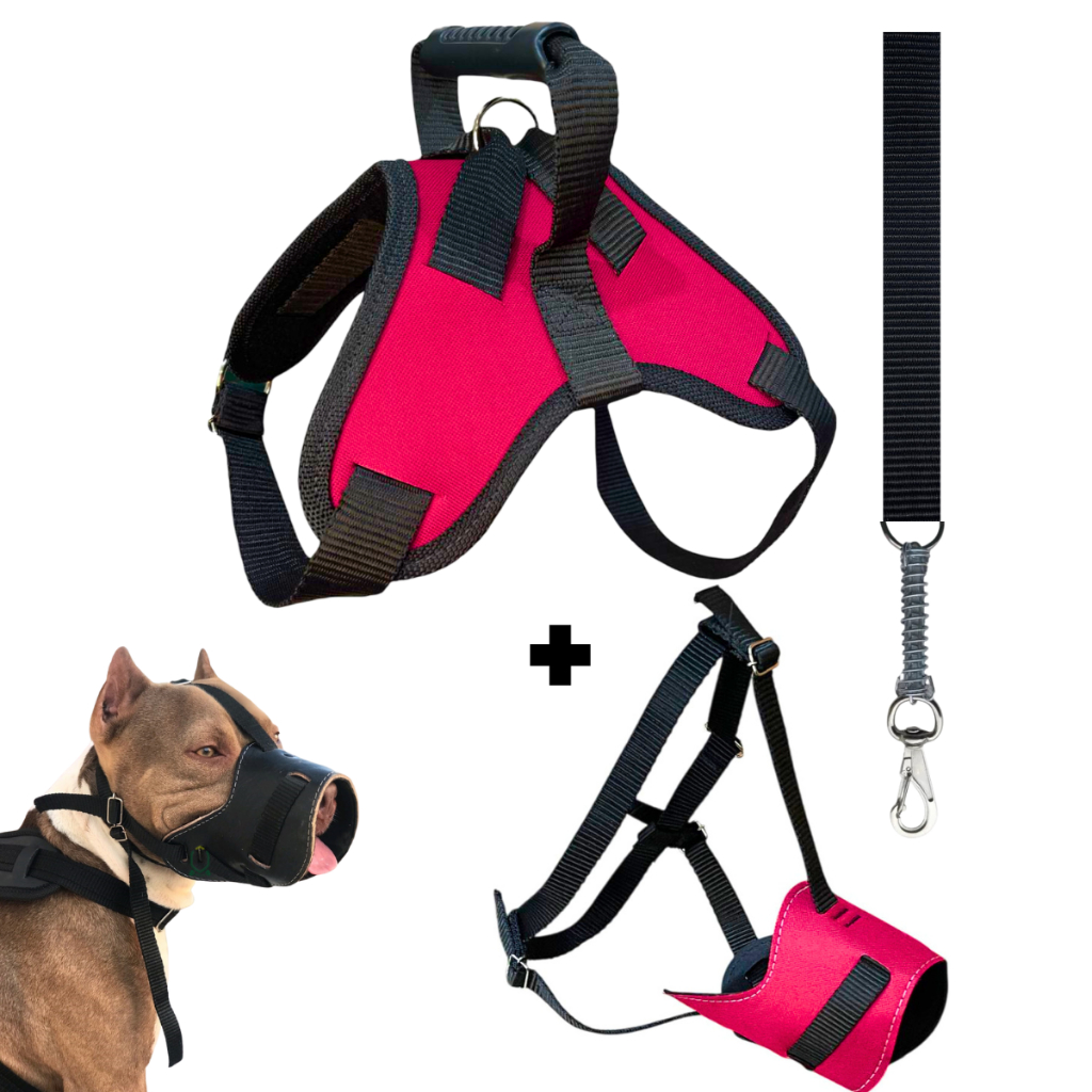 Kit peitoral + focinheira + guia para cachorro Coleira reforçada Chow Chow Husky Labrador Golden
