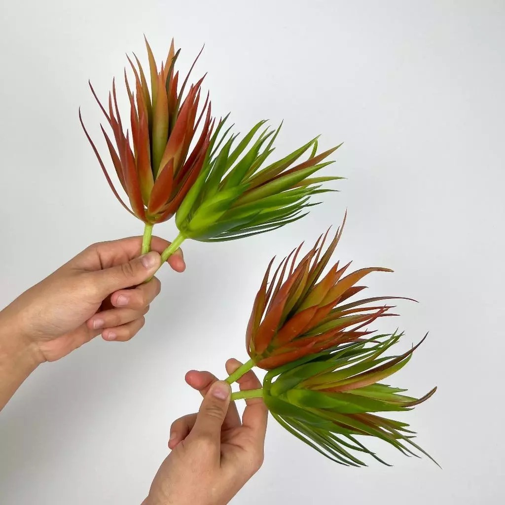 Suculenta Planta Avulso Artificial Suculentas Decoração Arranjos Decorar Festas Jardim - LMM802770 em Oferta na Shopee
