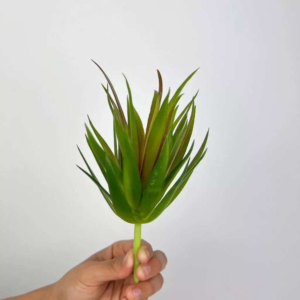 Suculenta Planta Avulso Artificial Suculentas Decoração Arranjos Decorar Festas Jardim - LMM802770