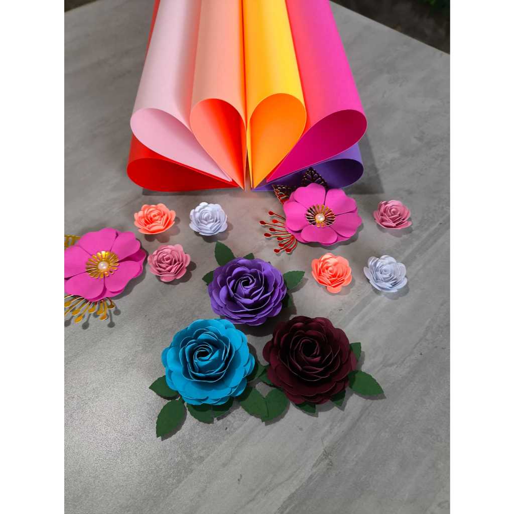 kit 40, 60, 80 folhas A4 Papel Color Plus 180g em Oferta na Shopee