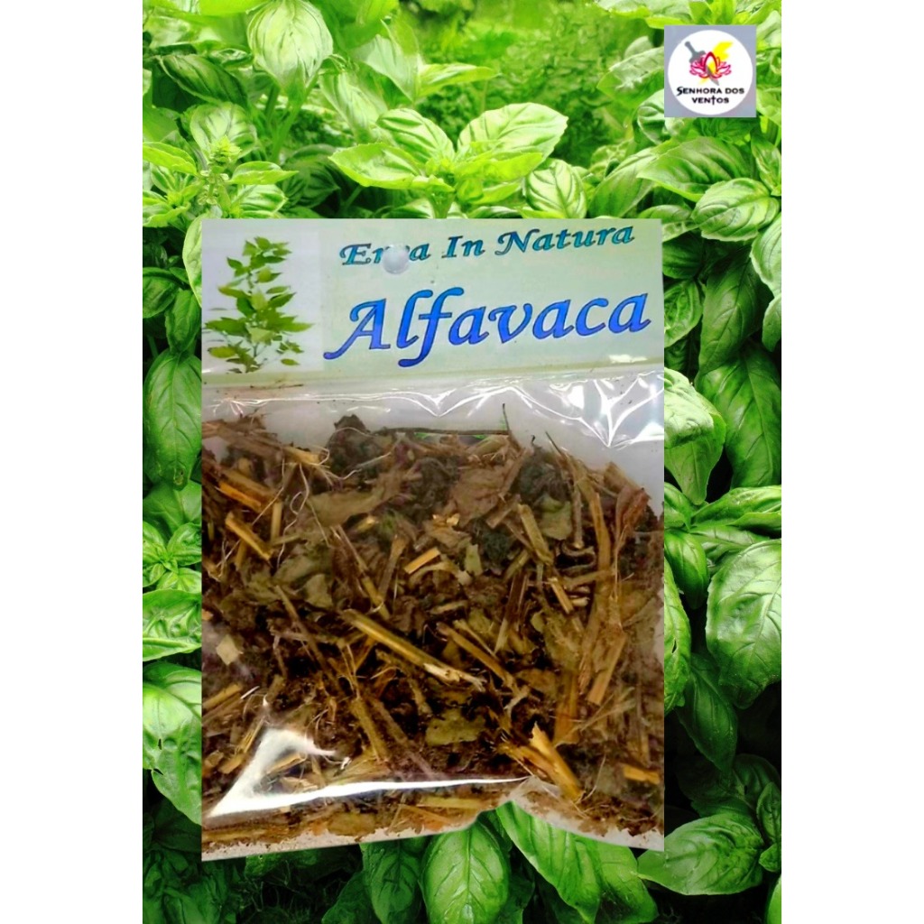 Alfavaca - Erva Seca/ Erva in Natura