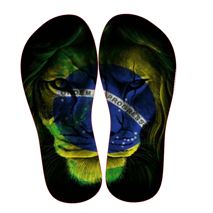 CHINELO SANDALIA ESTAMPAS BRASIL PÁTRIA AMADA 5 ESTAMPAS EM ALTA DEFINIÇÃO em Oferta na Shopee