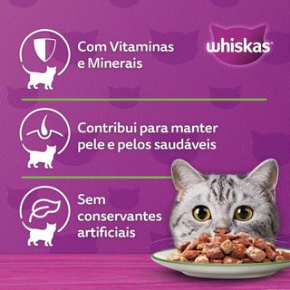 Ração Úmida Whiskas Gatos Adultos Sachê Ao Molho 85g - Caixa Com 20 Unidades - Escolha o Sabor