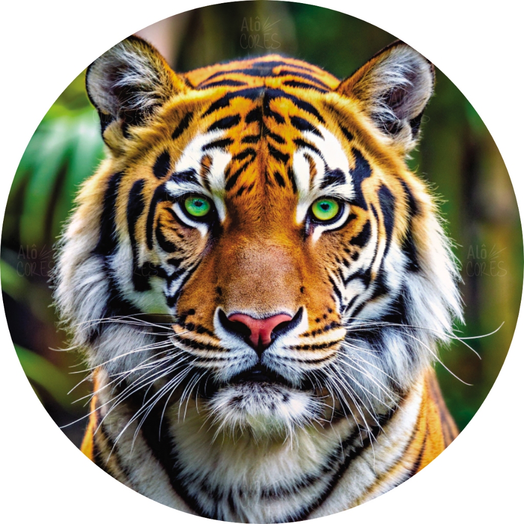 Capa Para Estepe Carro Tigre Felino Olho Verde Aro 15 E 16 Ecosport Spin Active Doblo Idea Citroen C3 Aircross Crossfox