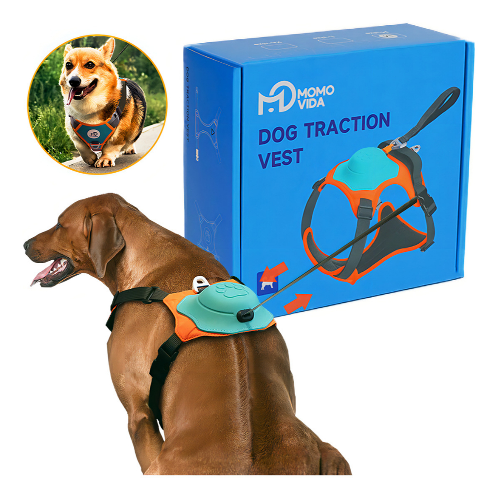 Colete Segurança Momovida Durável para Cães Peitoral Resistente a Puxão Força Antitração Confortavel em Oferta na Shopee