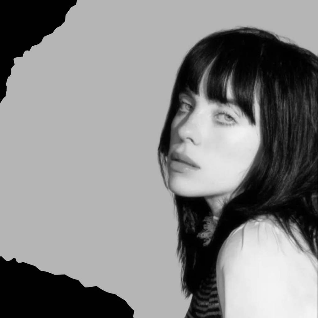 Caderno  personalizado da billie  Vários Modelos 1 10 15 20 Matérias Capa Dura Espiral Estudante Faculdade