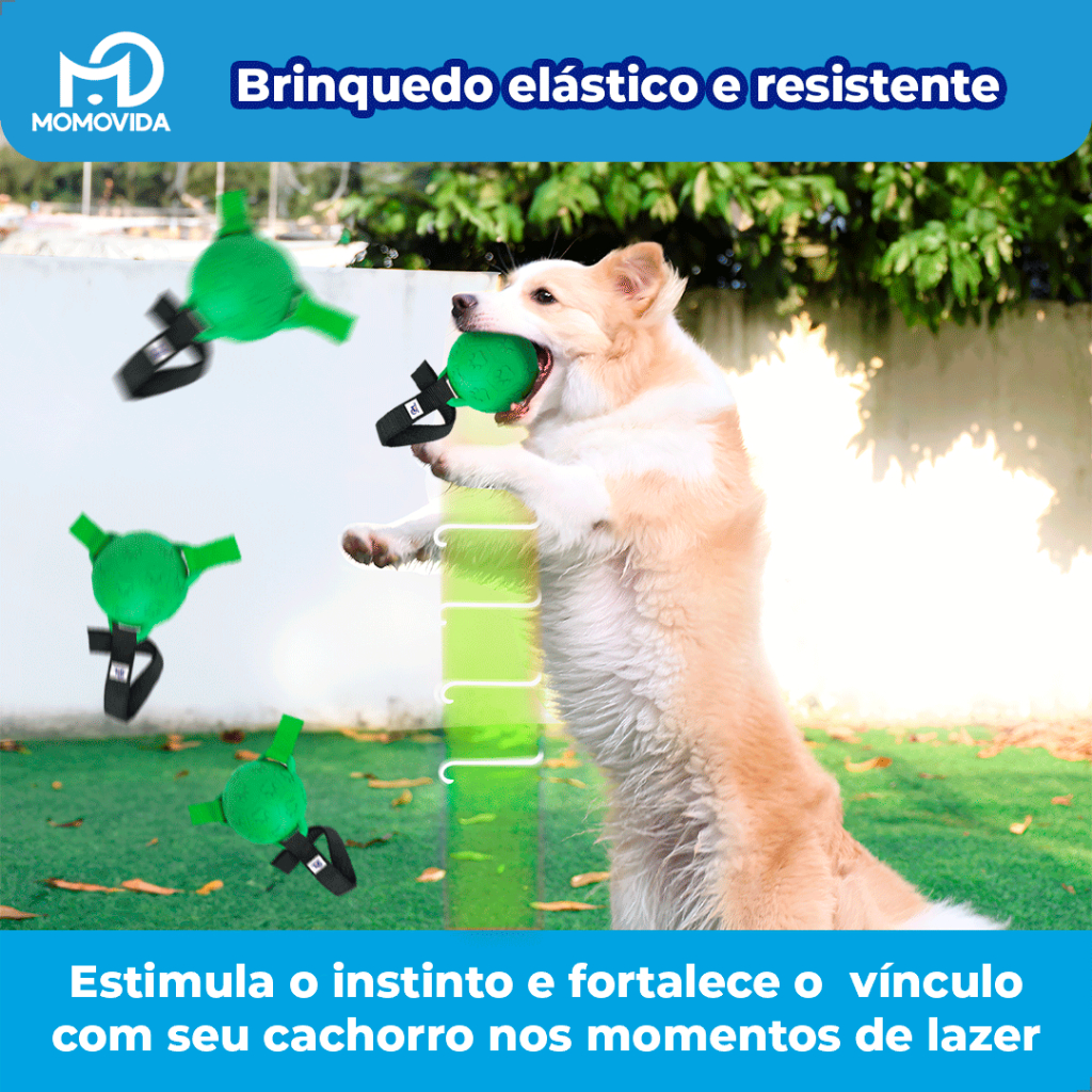 Bola Puxa-Puxa Momovida Interativa para Cães Cachorro Pet Brinquedo Resistente Cinto de Arremesso em Oferta na Shopee