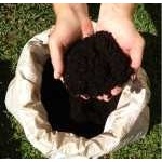 Pó de Xaxim: Guia Completo e Onde Comprar | BuscaProdutos