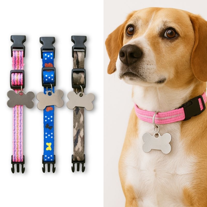 Coleira para Cães com Placa de Identificação