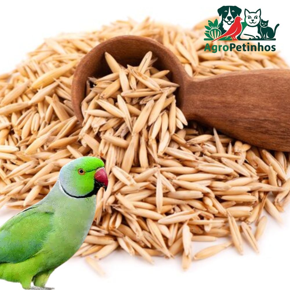 Aveia com Casca 1kg – Grão Nutritivo para Trinca-Ferro, Curió, Bicudo, Canários e Outros Pássaros