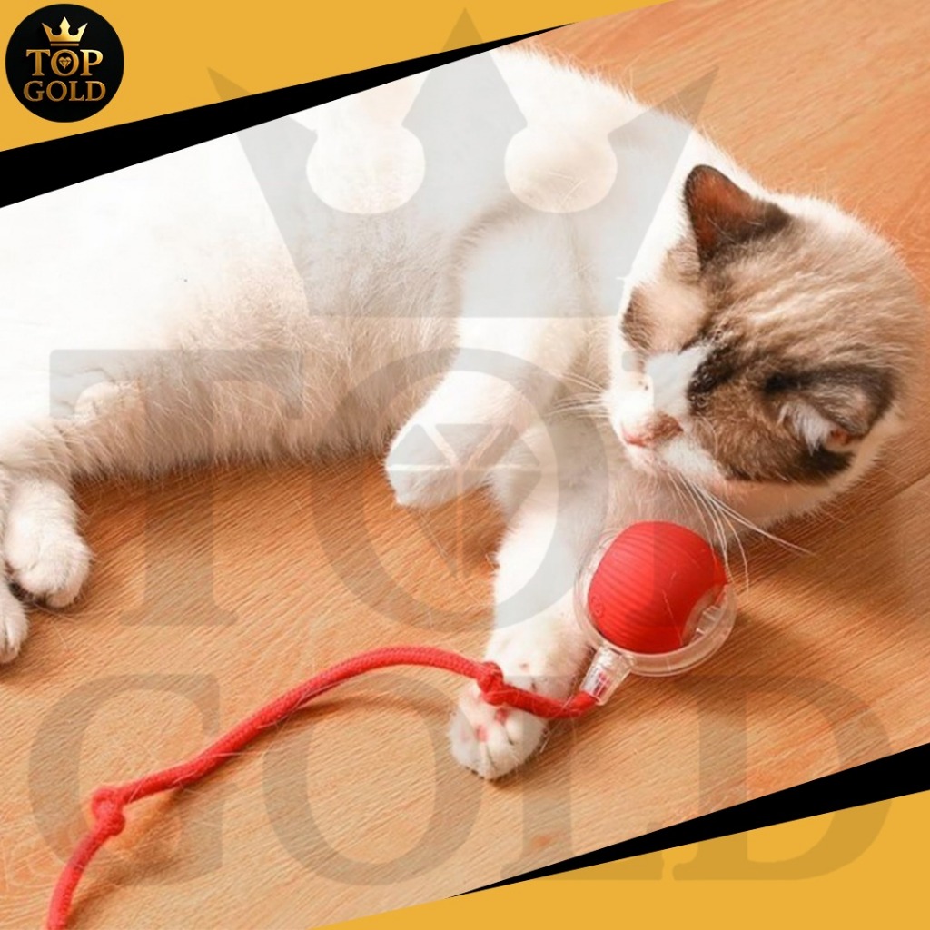 Bola Brinquedo Gato Recarregável Elétrico Automático Com Cauda Rolamento Interativo Bolinha Gatos