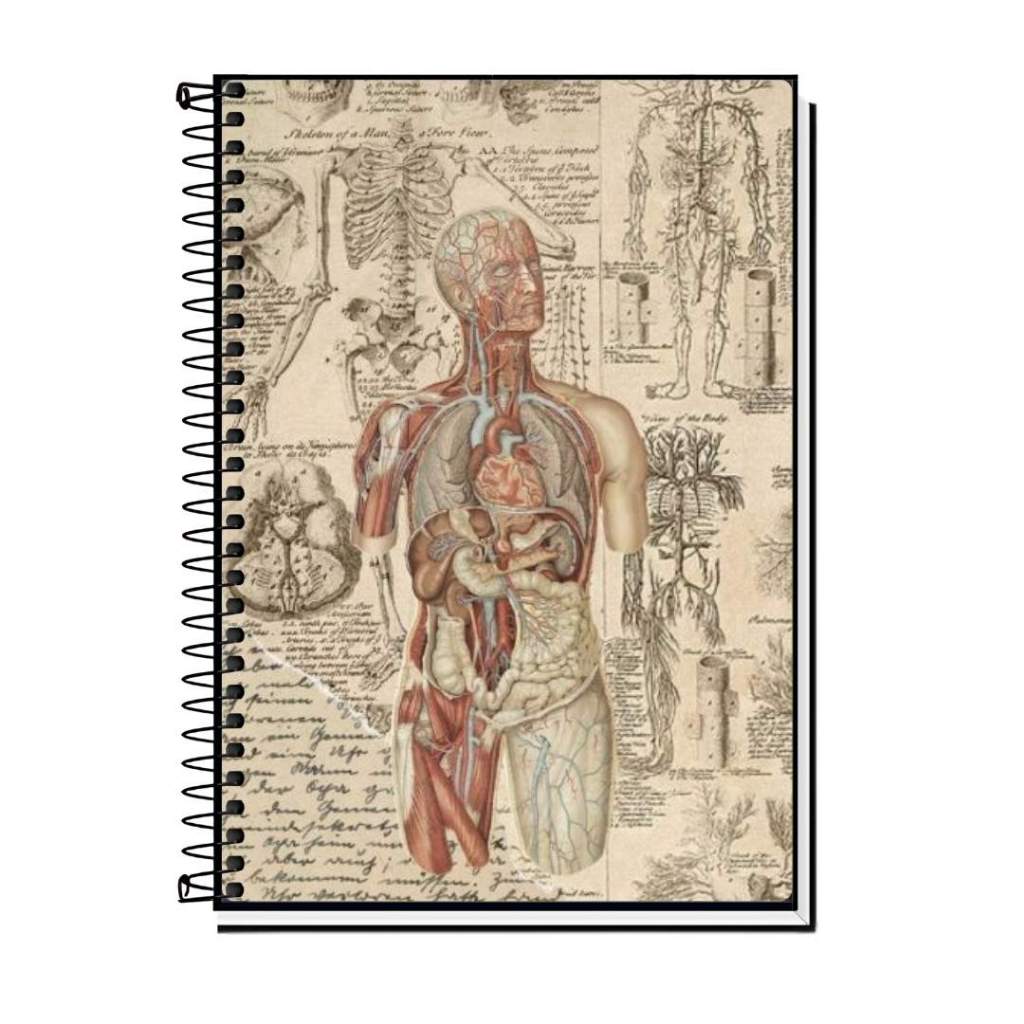 Caderno tema de Medicina universitario, faculdade  Aesthetic | Capa Dura com Espiral Metálico | 1, 10, 15 ou 20 Matérias