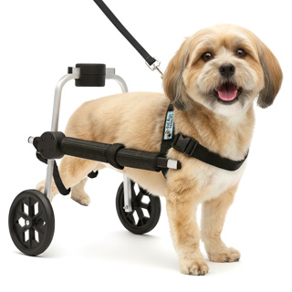 Cadeira De 2 Rodas Cão Cachorro Pequeno Tam P Pata Traseira Preto Regulável Coleira Pet Best Soluções em Oferta na Shopee