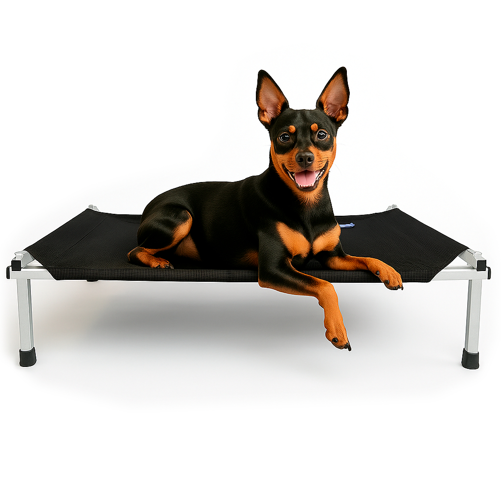 Cama Suspensa Ortopédica para Cachorro Tamanho P