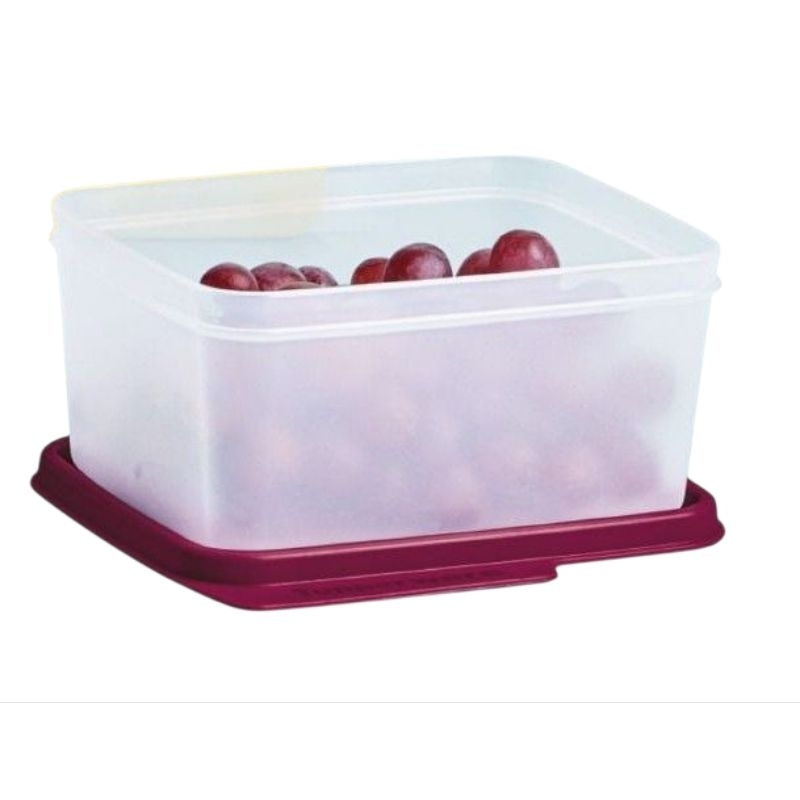 Tupperware Basic Line 500ml Transparente Tampa Marsala – Original, Ideal para Armazenar Alimentos
