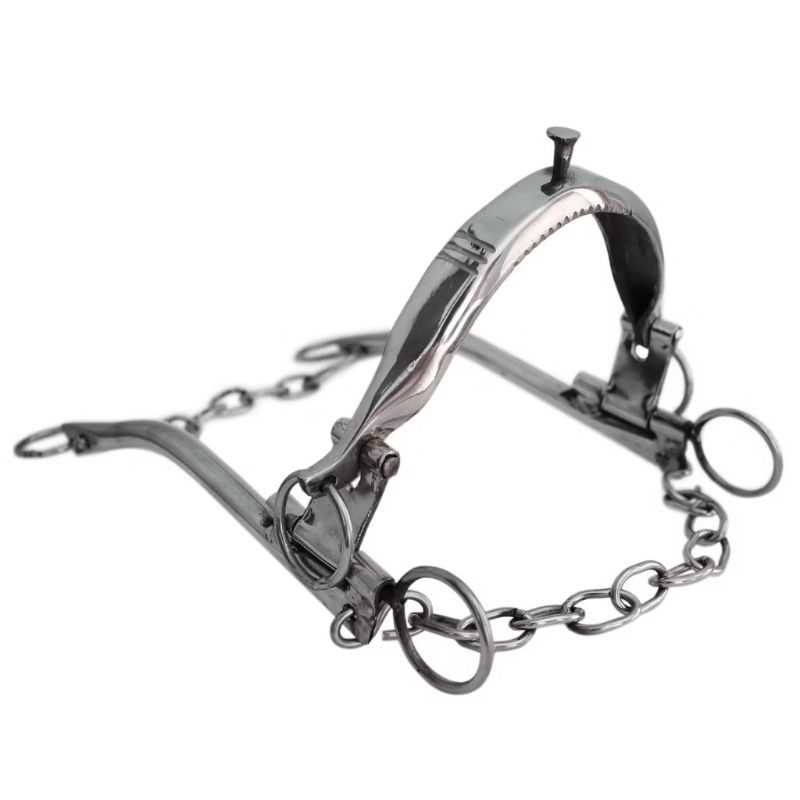 Freio Professora Média Inox Para Cavalo Vaquejada Oferta Preço Imperdível Envio Imediato para Todo o Brasil. em Oferta na Shopee