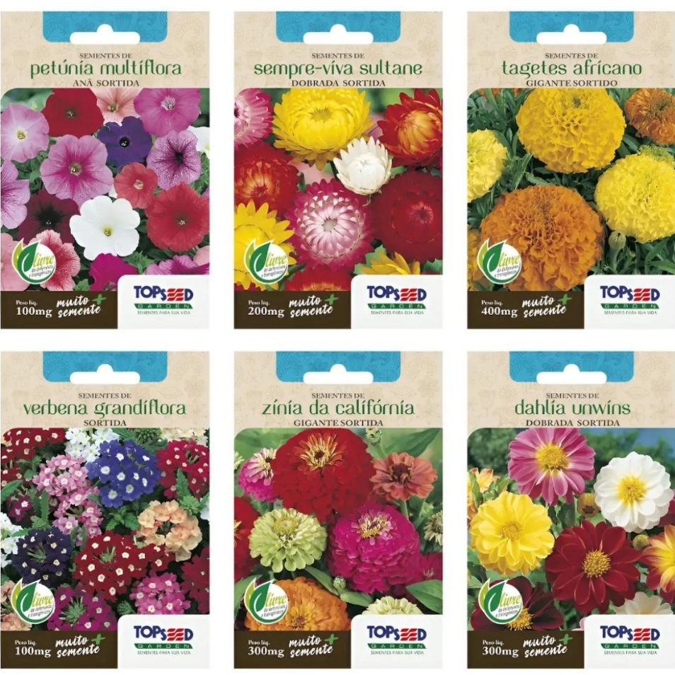 Kit sementes de flores Dália + Sempre Viva + Petúnia + Verbena + Tagete + Zinia Topseed Jardins em Oferta na Shopee