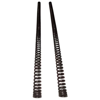 KIT 2 UNIDADES MOLA INTERNA BENGALA CG TODAY TITAN 125 TODAS FAN 125 2005 / 2018 em Oferta na Shopee