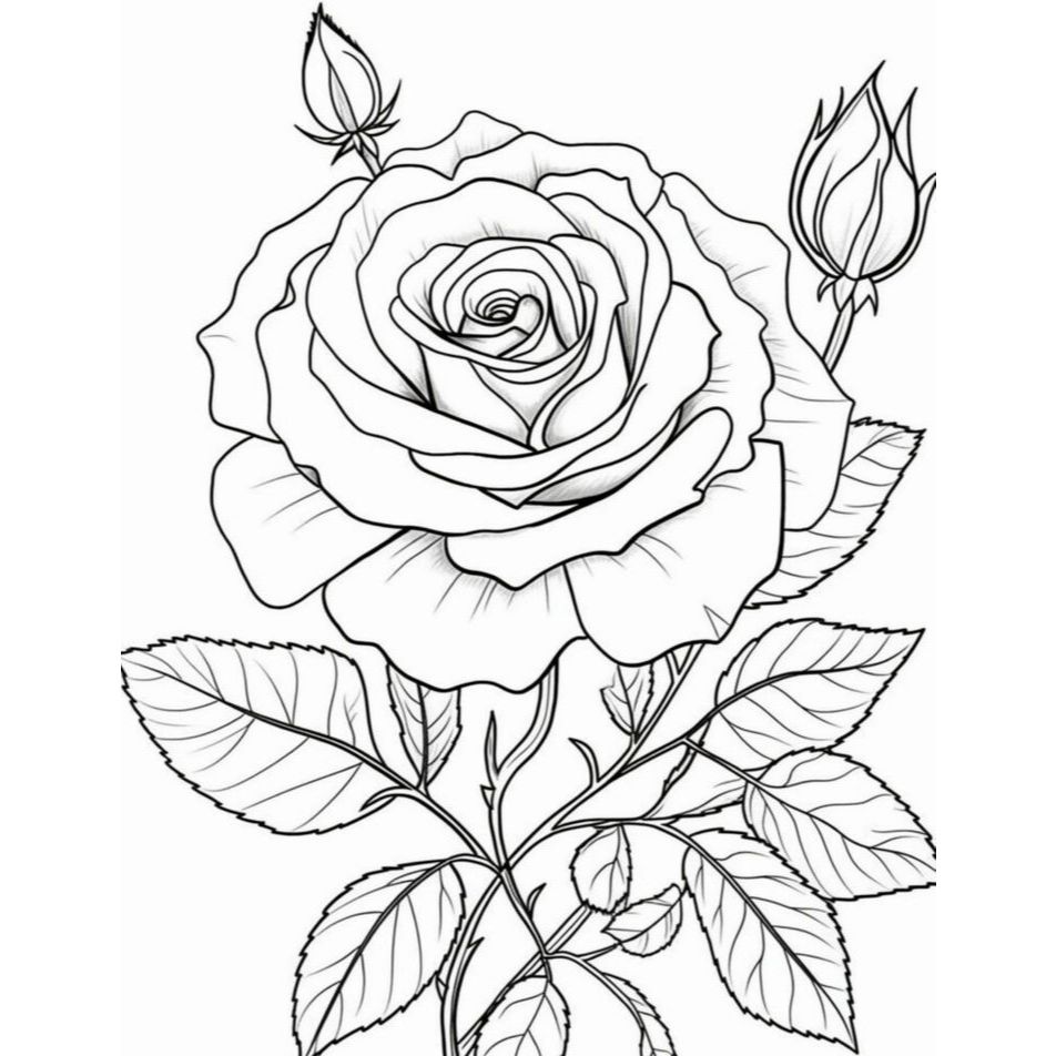 Kit de 100 Desenho Adulto Para Colorir Flores e Plantas Arte terapia Esboço para Pano de Prato em Oferta na Shopee