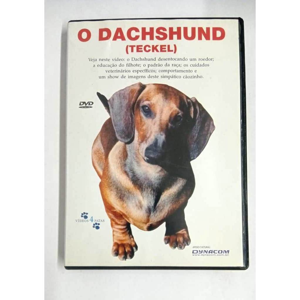 DVD O Dachshund (teckel) 4 Patas Original documentário cxc