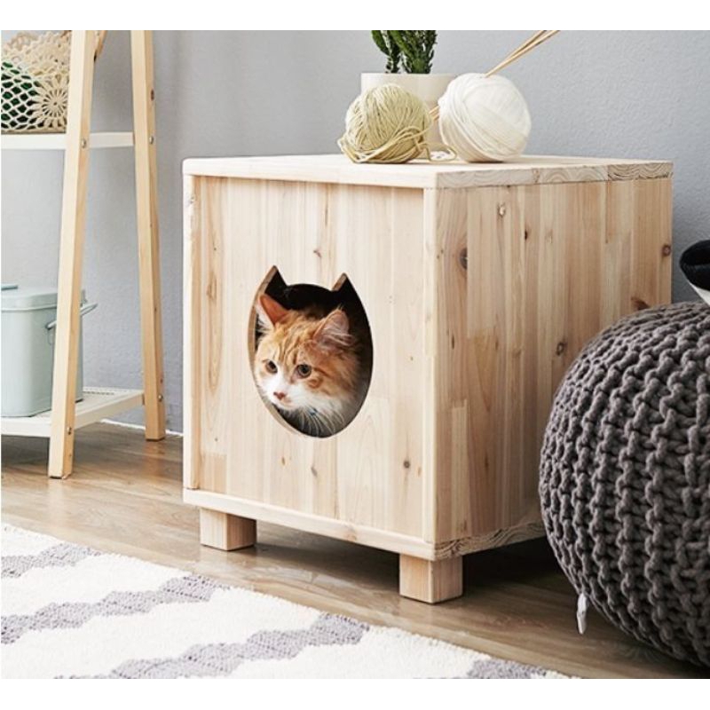 Casinha para 🐱 🐱  gatos de madeira pinus.