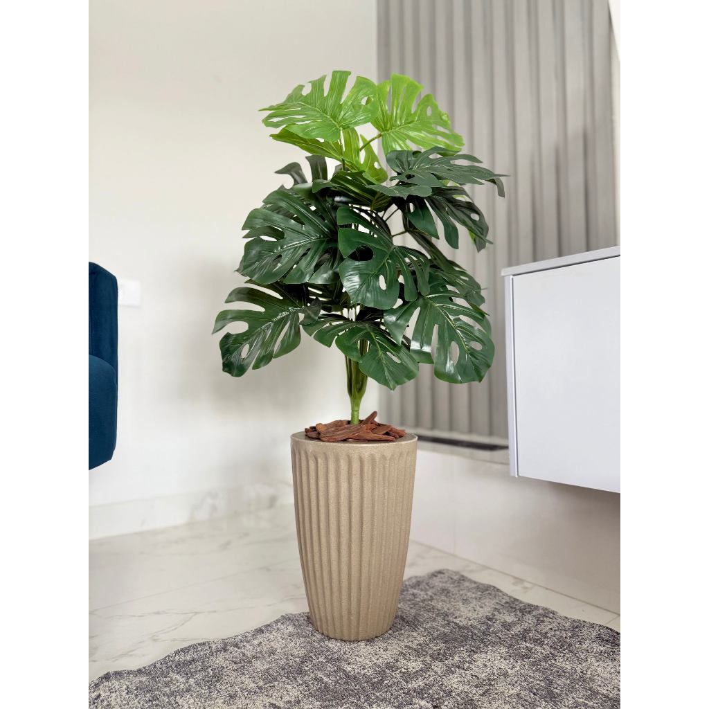 Costela De Adao Artifical com Vaso Polietileno Completo Casa em Oferta na Shopee