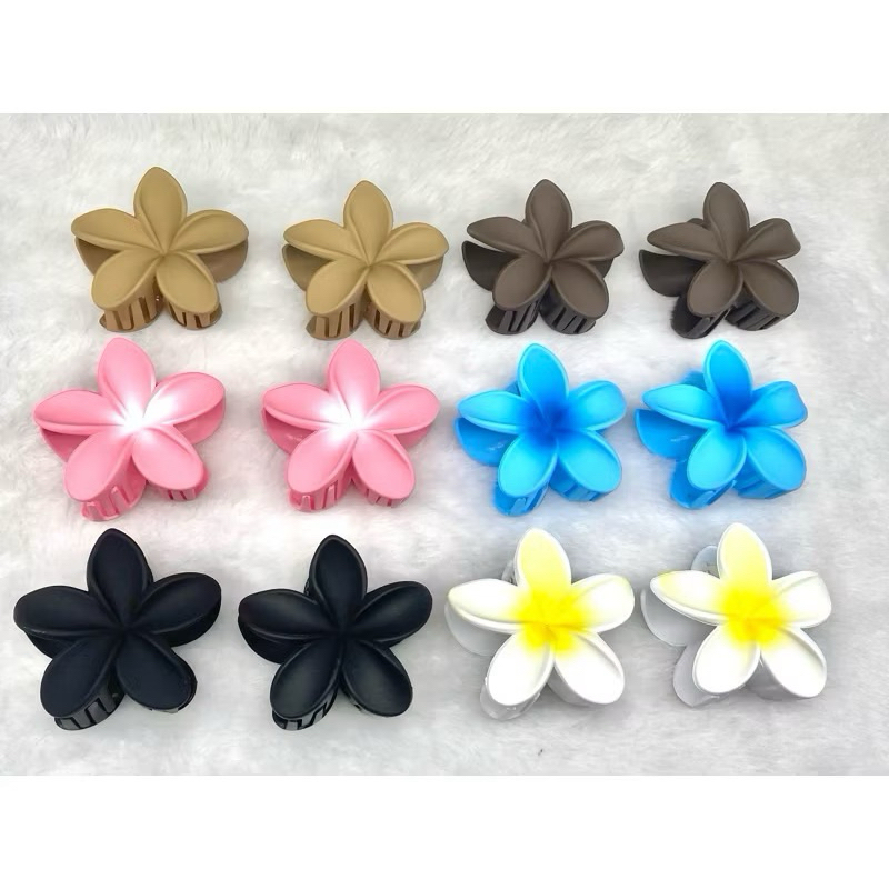 Kits 12 Peças piranha De Cabelo Flor De Feriado De Praia Barrettes em Oferta na Shopee