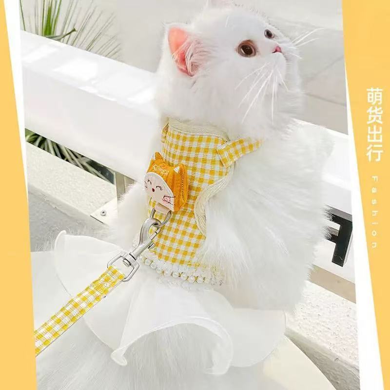 Coleira para Gato e cachorro pequenos e outros animal de estimacao