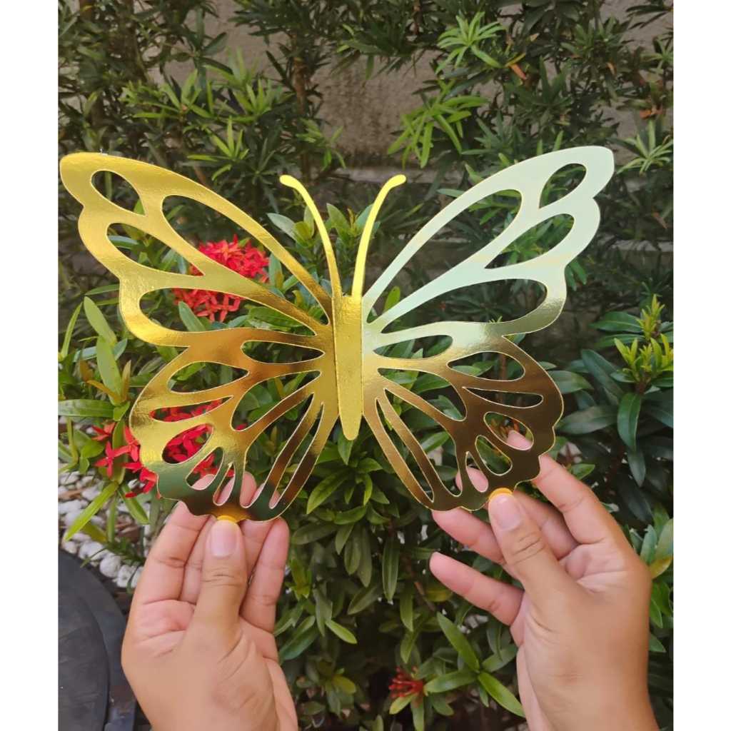 Borboleta Gigante: Onde Comprar | BuscaProdutos