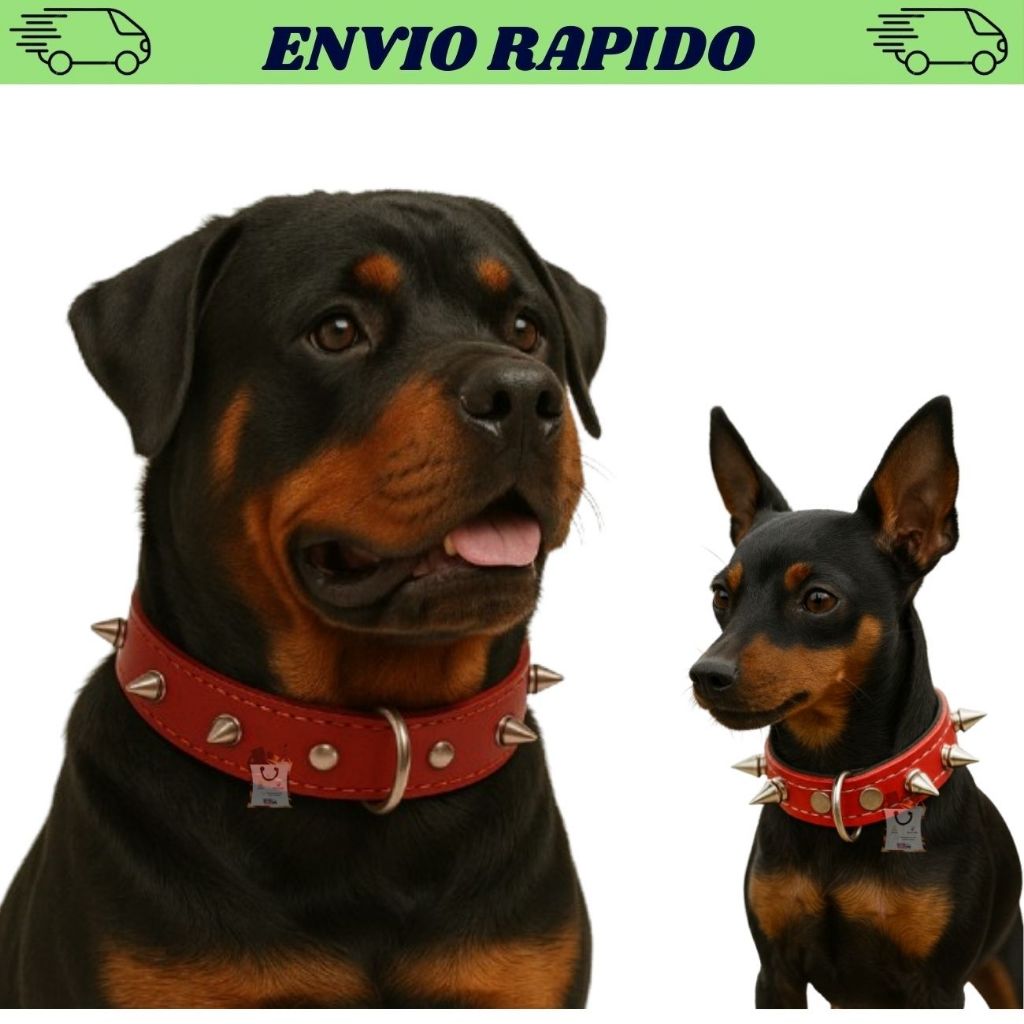 Coleira Fina Couro Com Cravo Para Cachorro de Todos os Portes em Oferta na Shopee