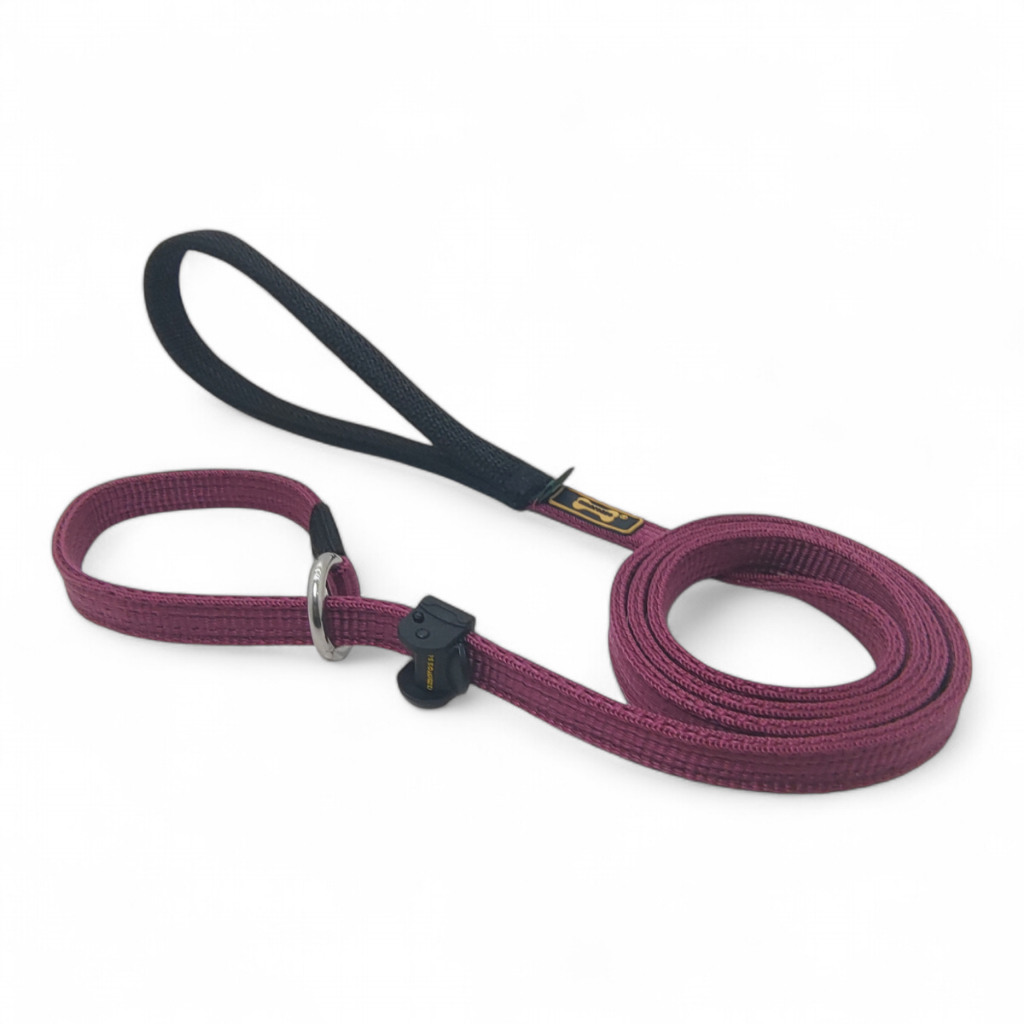 Guia Unificada Adestramento Cachorro Reforçada 1.20m / 5 Metros Cor Vinho Amorosso Pet Dog Pitbull Passeio Cane Corso