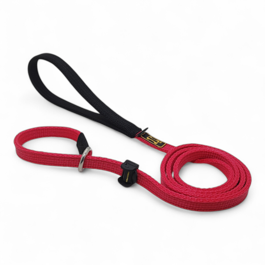 Guia Unificada Adestramento Cachorro Reforçada 1.20 Até 5 metros Cor Vermelho Amorosso Pet Dog