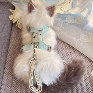 Desenho Ursinho Com Guia Para Cães cachorro e gatos Coleira peitoral Colorida em Oferta na Shopee