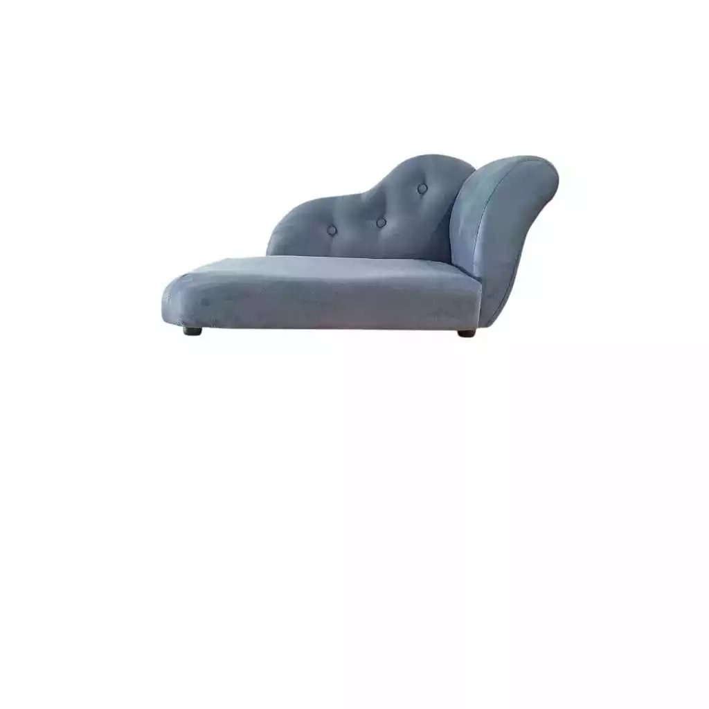 Cão Big: Guia Completo e Onde Comprar | BuscaProdutos