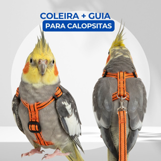 Coleira Guia Peitoral Para Calopsitas em Oferta na Shopee