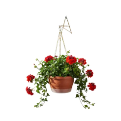 1 Kit Cuia 8l + Prato Autoirrigavel + Suporte A 24 + Corrente 54cm - 1VP31_C54A2 cord